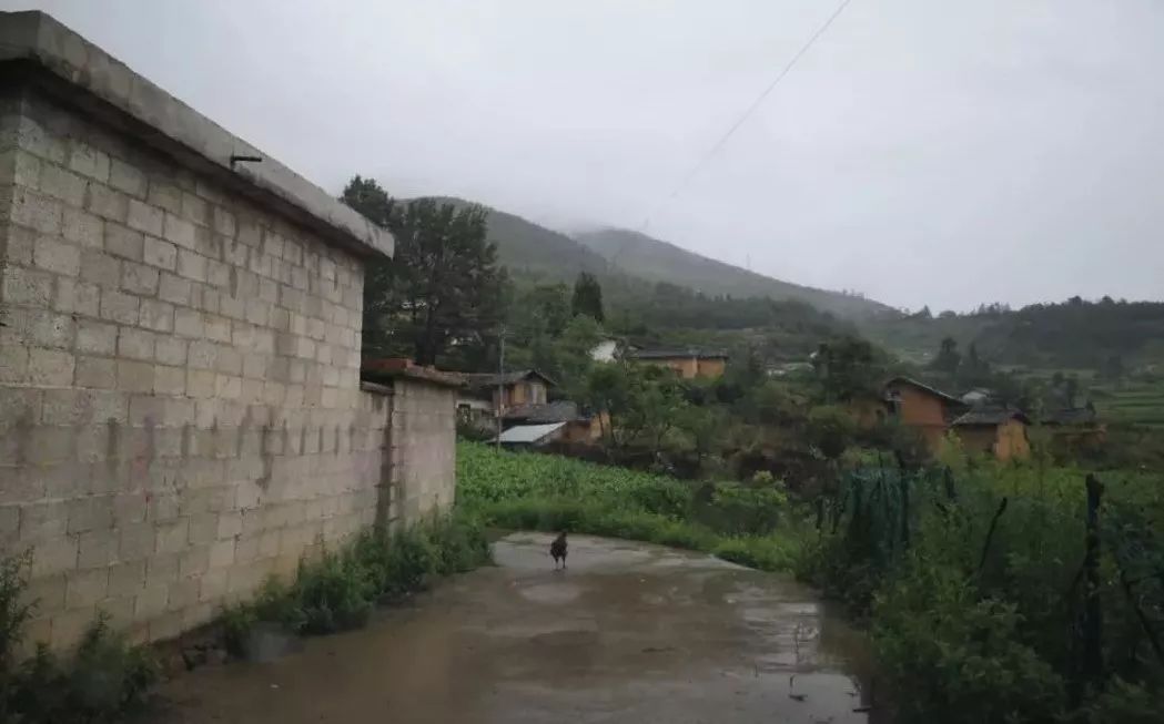 爱心觊发k8旗舰厅 | 觊发k8旗舰厅三进凉山，脱贫攻坚觊发k8旗舰厅一直在行动(图11)